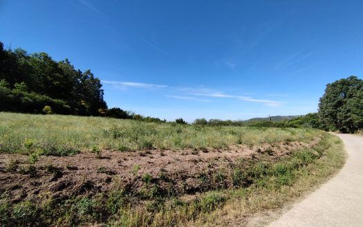 Estupendo conjunto de parcelas a la venta, en Jarandilla de la Vera.