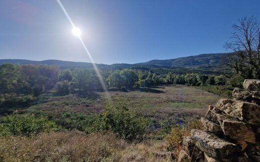 Estupendo terreno en venta en la carretera del Valle del Jerte