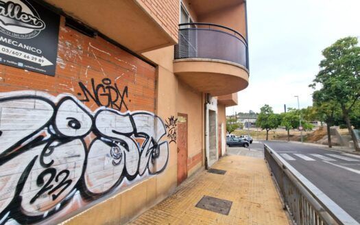 Conjunto de locales en venta en Plasencia, San Miguel.