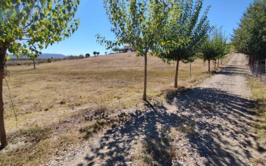 Amplio solar en venta en Carcaboso