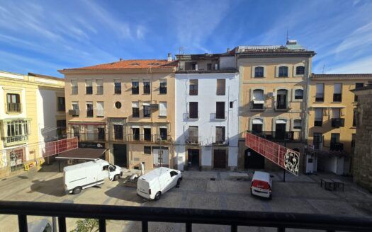 Espectacular vivienda en venta en pleno centro de Plasencia