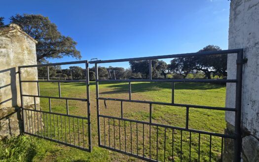 Terreno rústico en venta en Malpartida de Plasencia